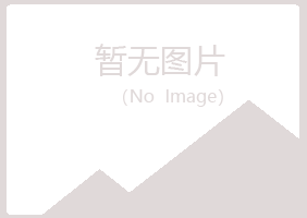 兰山区搁浅会计有限公司